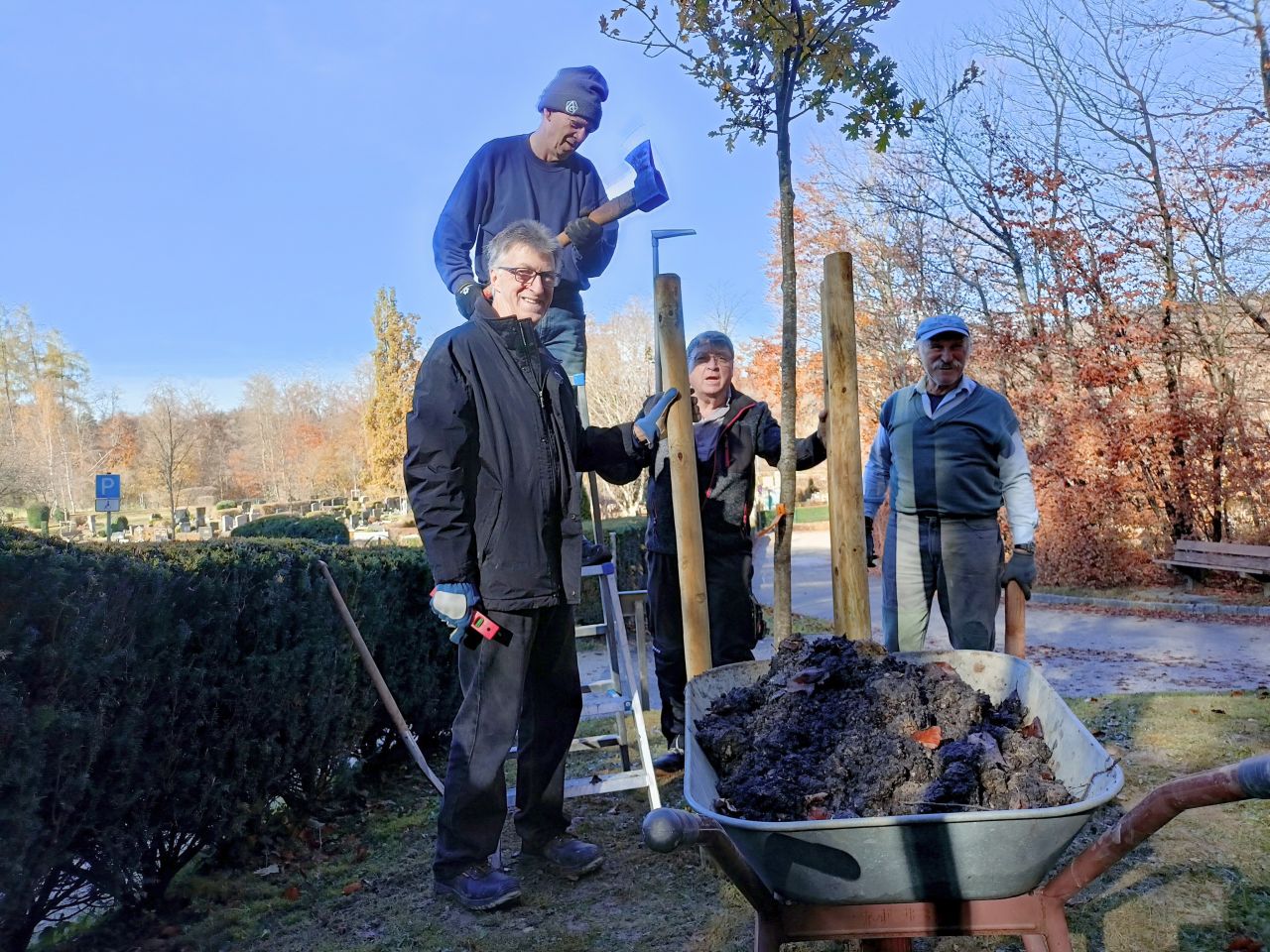 IMG 20251108 232842 1280px